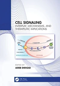 Cell Signaling: Interplay, Mechanisms, and Therapeutic Implications