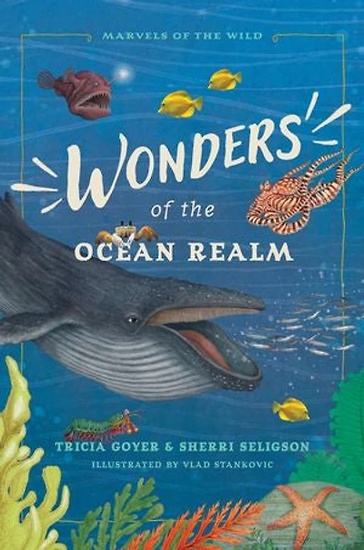Wonders of the Ocean Realm: 5 Under-the-Sea Tales Faith and Science for Kids