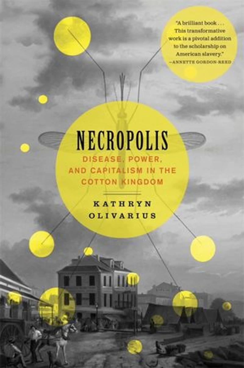 Necropolis: Disease, Power, and Capitalism the Cotton Kingdom