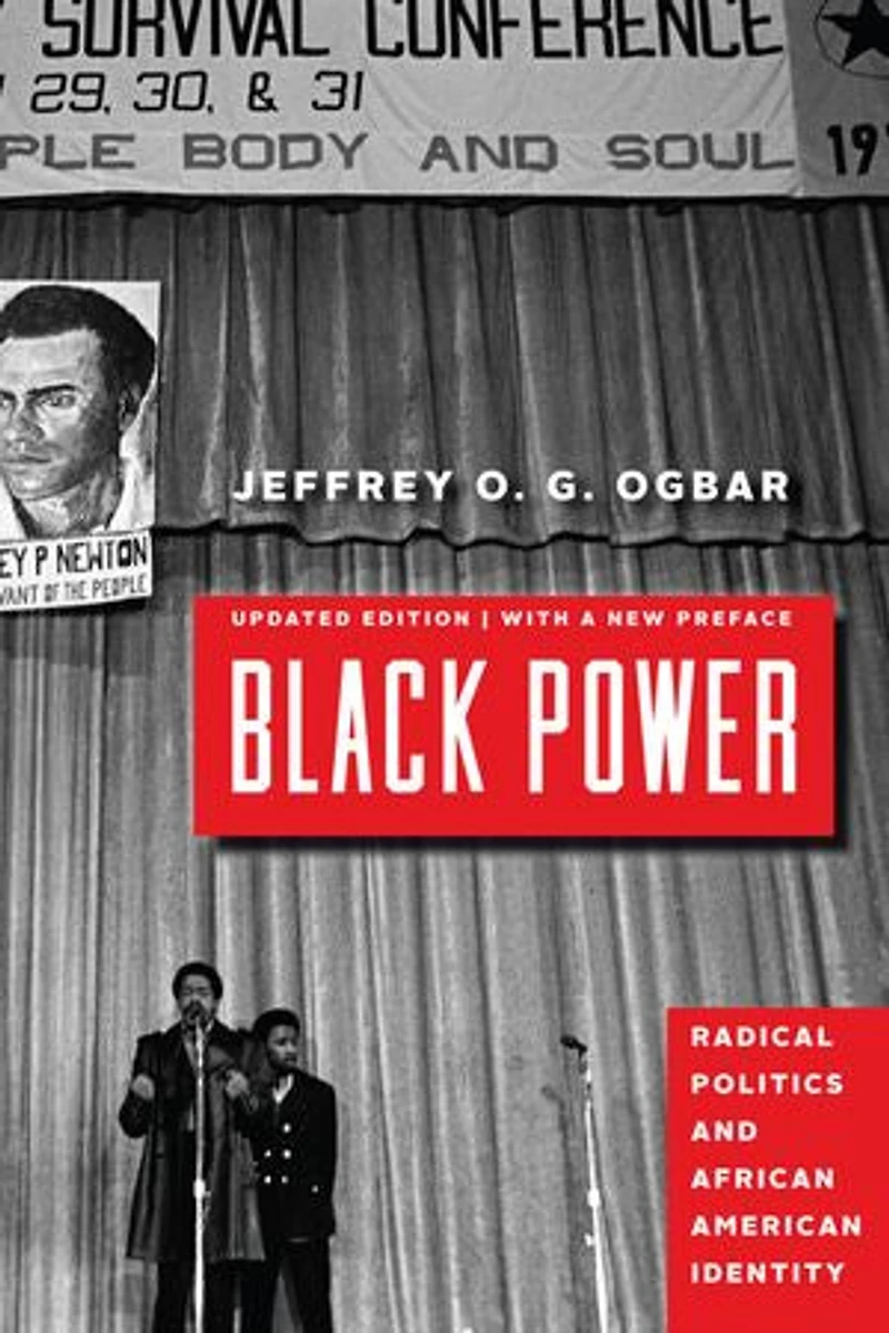 Black Power: Radical Politics And African American Identity
