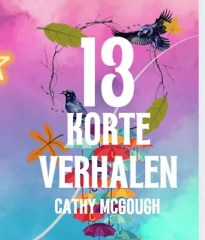 13 KORTE VERHALEN DUTCH EDITION