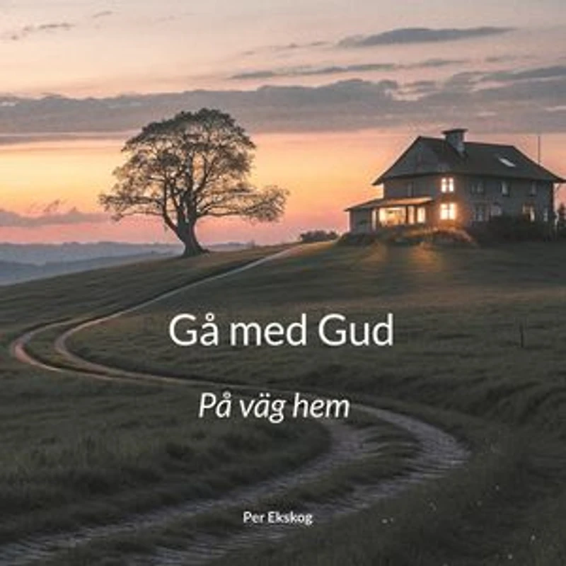 Gå med Gud: På väg hem