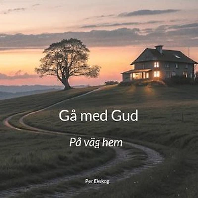 Gå med Gud: På väg hem