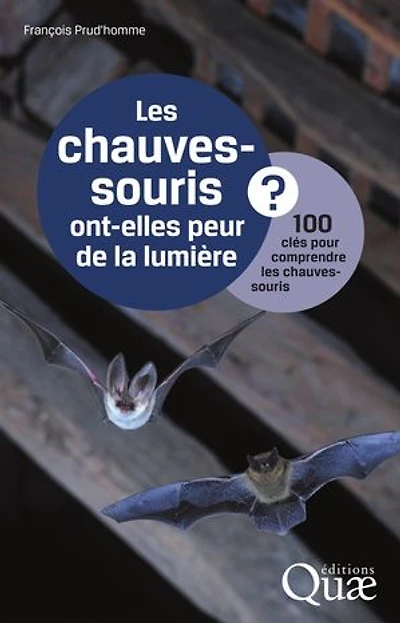 Les chauves-souris ont-elles peur de la lumière ?: 100 clés pour comprendre les chauves-souris