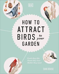 How to Attract Birds Your Garden: Foods they like, plants love, shelter need