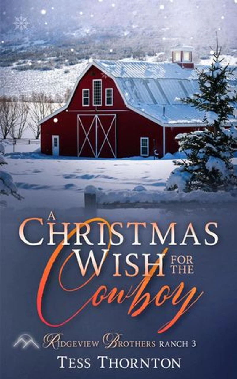 A Christmas Wish for the Cowboy: Ridgeview Brothers Ranch, #3