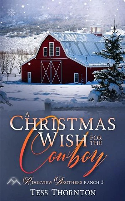 A Christmas Wish for the Cowboy: Ridgeview Brothers Ranch, #3