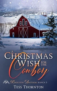 A Christmas Wish for the Cowboy: Ridgeview Brothers Ranch, #3