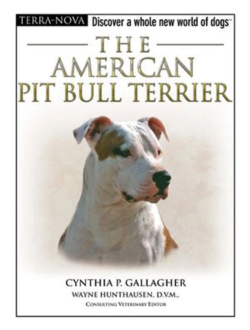 American Pit Bull Terrier