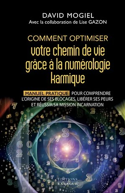 Comment optimiser votre chemin de vie grâce à la numérologie karmique - Manuel pratique pour comprendre l'origine ses blocages, libérer peurs et réussir sa mission d'incarnation