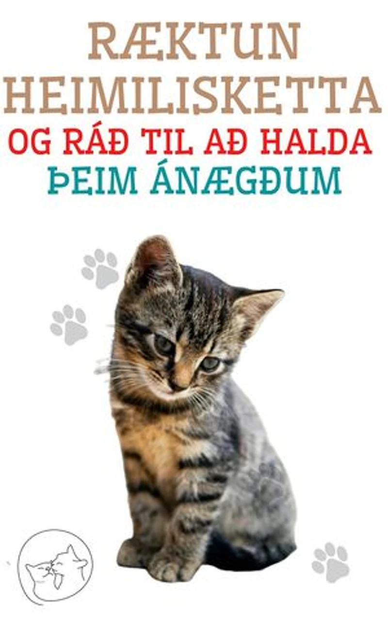 Ræktun heimilisketta og ráð til að halda þeim ánægðum: Besta leiðarvísirinn fyrir þig til að skilja og elska köttinn þinn