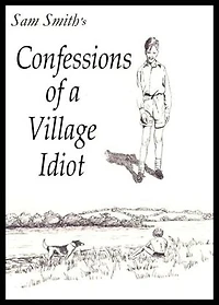 Confessions of a Village Idiot: Beyond the Asylum, #1