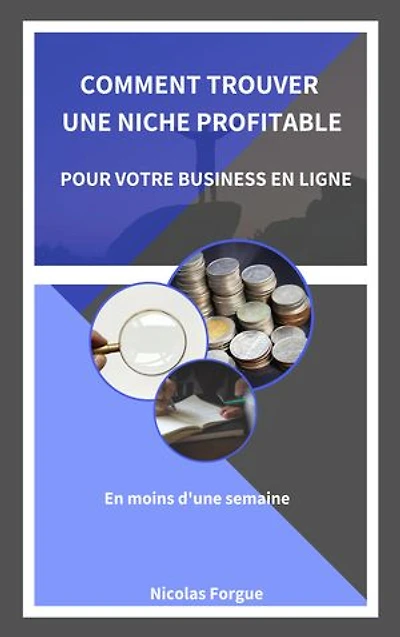 Comment trouver une niche profitable pour votre business en ligne: En moins d'une semaine