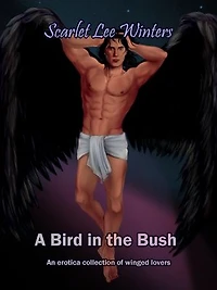A Bird in the Bush
