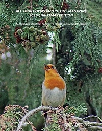 All Your Poems Anthology Christmas 2025: All Your Poems, #2