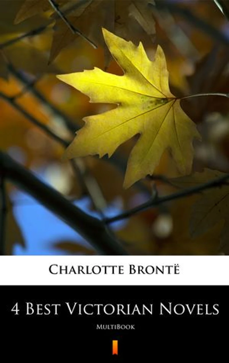 4 Best Victorian Novels: MultiBook
