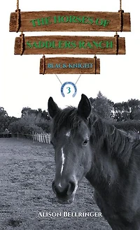 The Horses of Saddlers Ranch: Black Knight: Book Three