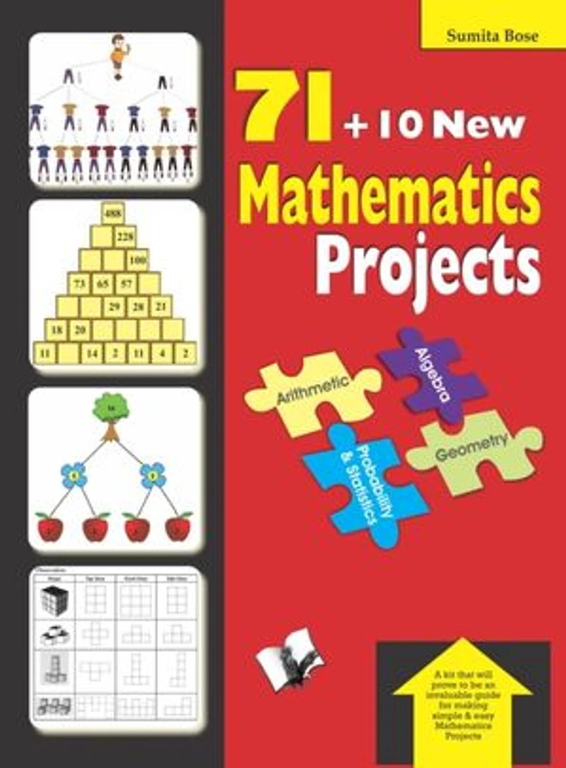 71 Mathematics Projects