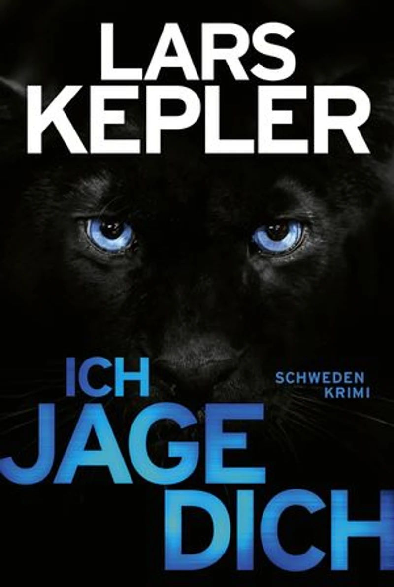 Der Spiegelmann: Schweden-Thriller