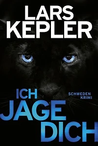 Der Spiegelmann: Schweden-Thriller