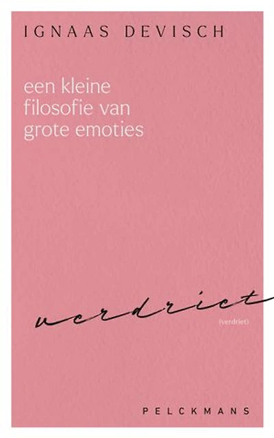 Een kleine filosofie van grote emoties: Verdriet