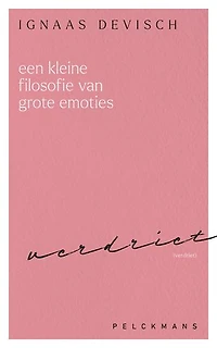 Een kleine filosofie van grote emoties: Verdriet