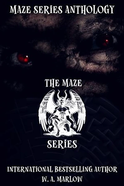 The Maze Series: The Maze Series