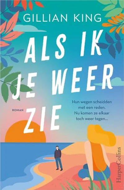 Als ik je weer zie: Hun wegen scheidden met een reden. Nu komen ze elkaar toch weer tegen.