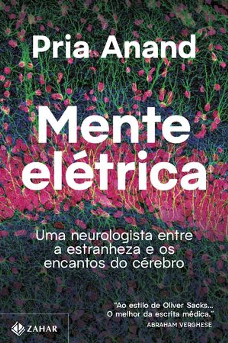 Mente elétrica: Uma neurologista entre a estranheza e os encantos do cérebro