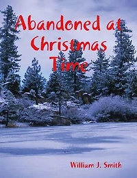 Abandoned at Christmas Time