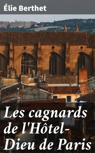 Les cagnards de l'Hôtel-Dieu de Paris: Plongée saisissante dans le Paris du XIXe siècle à travers les cagnards de l'Hôtel-Dieu