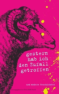 Gestern hab ich den Zufall getroffen: und andere Geschichten