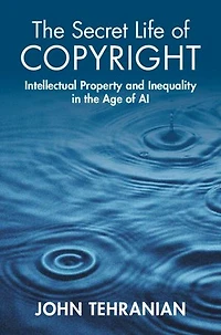 The Secret Life of Copyright: Intellectual Property and Inequality in the Age of AI