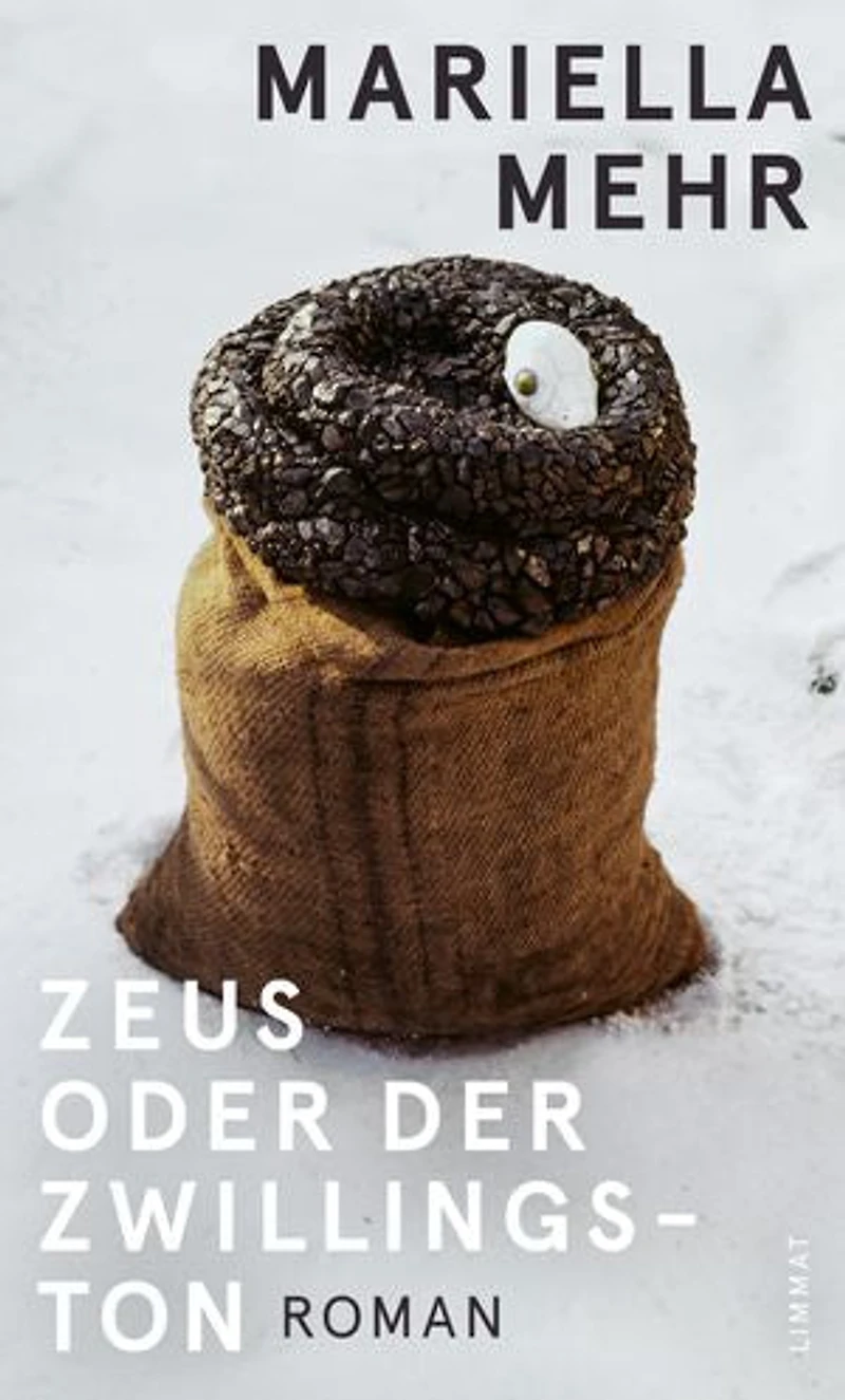 Zeus oder der Zwillingston: Roman