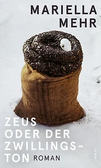 Zeus oder der Zwillingston: Roman