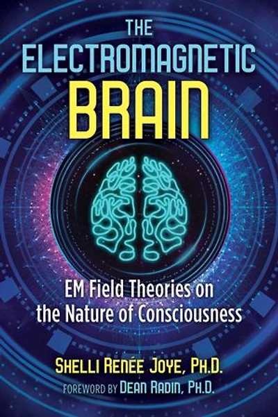 the Electromagnetic Brain: EM Field Theories on Nature of Consciousness