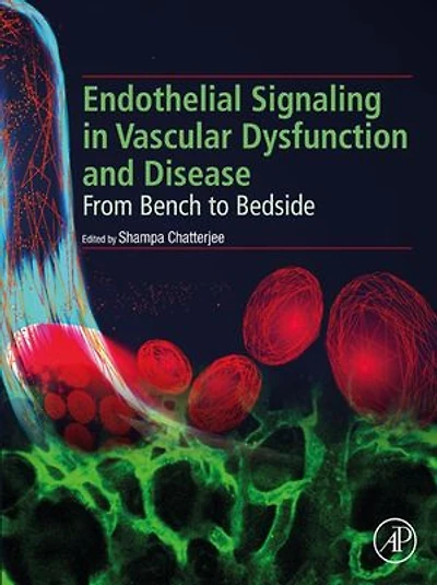 Endothelial Signaling Vascular Dysfunction And Disease: From Bench To Bedside