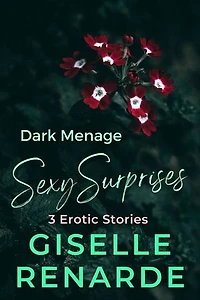 Dark Menage Sexy Surprises