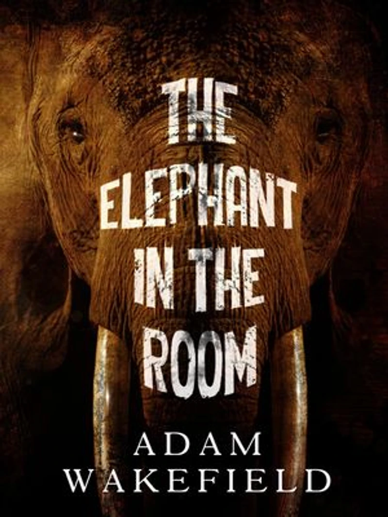 The Elephant In The Room