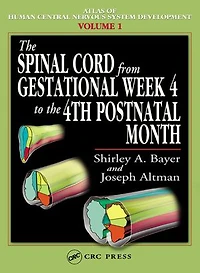 The Spinal Cord from Gestational Week 4 to the 4th Postnatal Month