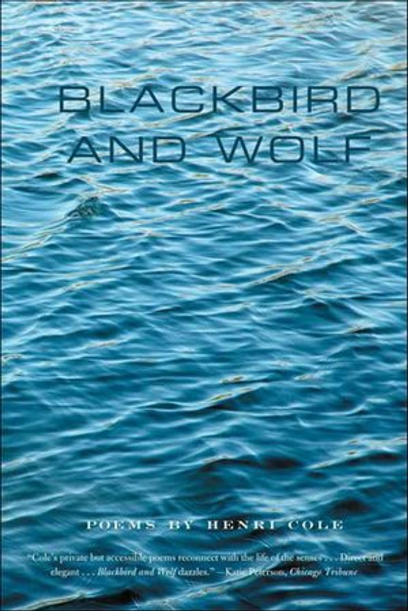 Blackbird and Wolf: Poems