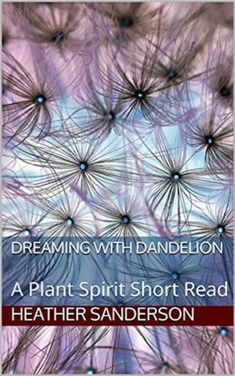 Dreaming with Dandelion: A Plant Spirit Short Read