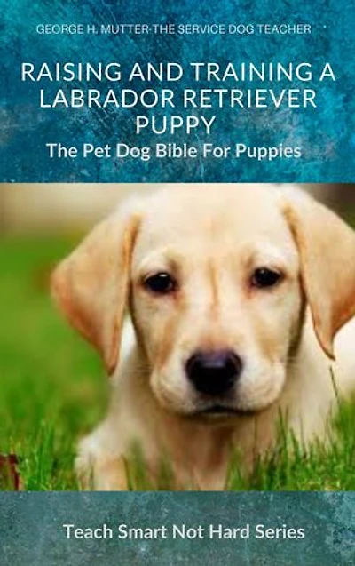 Raising And Training A Labrador Retriever Puppy: The Pet Dog Bible For Puppies