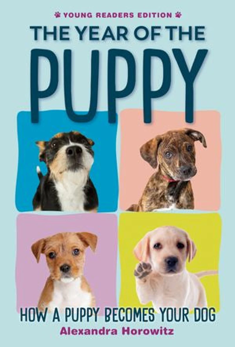 the Year of Puppy: How a Puppy Becomes Your Dog