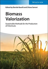 Biomass Valorization: Sustainable Methods For The Production Of Chemicals