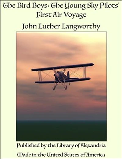 The Bird Boys: The Young Sky Pilots' First Air Voyage