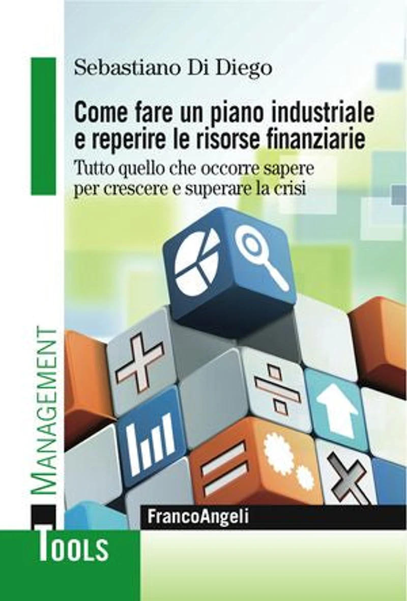 Come fare un piano industriale e reperire le risorse finanziarie.: Tutto quello che occorre sapere per crescere e superare la crisi