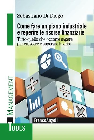 Come fare un piano industriale e reperire le risorse finanziarie.: Tutto quello che occorre sapere per crescere e superare la crisi