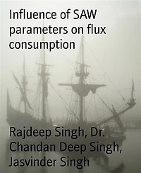 Influence of SAW parameters on flux consumption