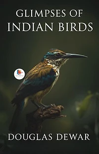 Glimpses of Indian Birds